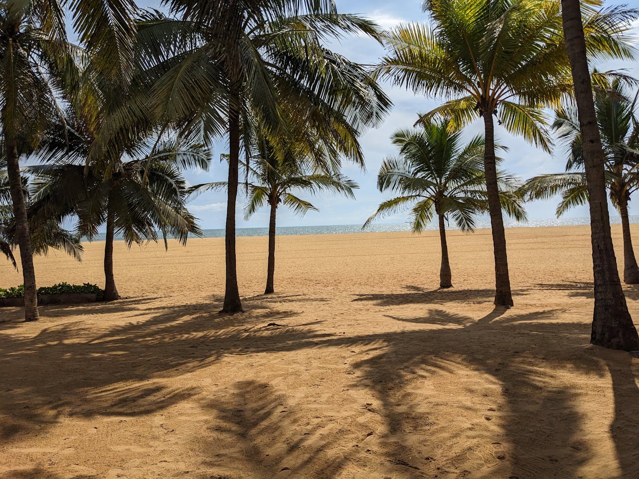 Negombo Beach